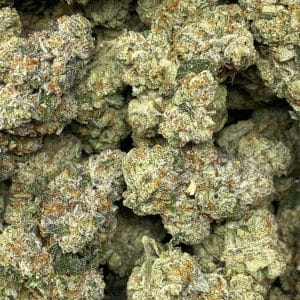 SOUR TIGER BOMB LSO (EXOTIC) - Image 2
