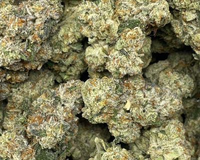 SOUR TIGER BOMB LSO (EXOTIC) - Image 2