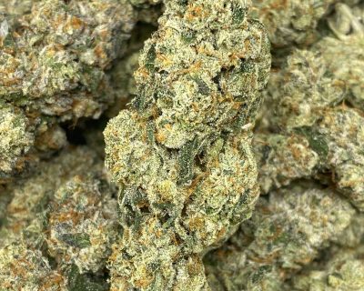 SOUR TIGER BOMB