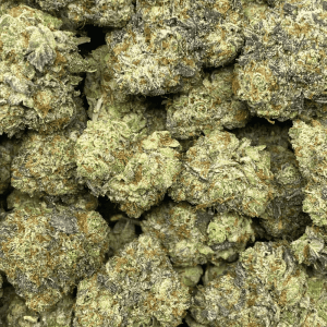 TANGIE TROPICANA LSO (EXOTIC) - Image 2