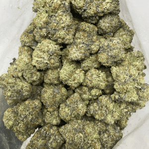 TANGIE TROPICANA LSO (EXOTIC) - Image 3