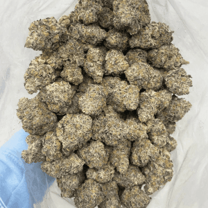 THE MENTHOL LSO (EXOTIC) - Image 3