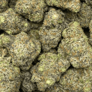 GMO COOKIES LSO (EXOTIC DEAL) - Image 2