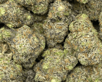 GMO COOKIES LSO (EXOTIC DEAL) - Image 2