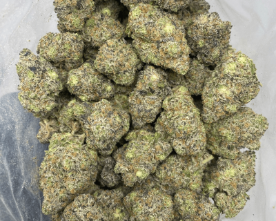 GMO COOKIES LSO (EXOTIC DEAL) - Image 3