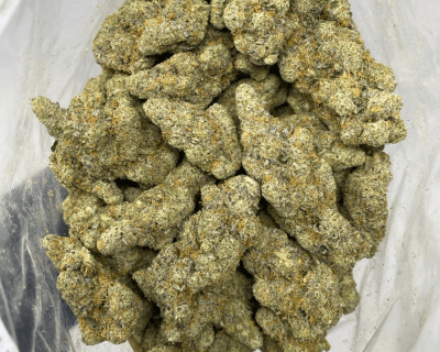 MODIFIED MINTZ (EXOTIC SALE) - Image 3