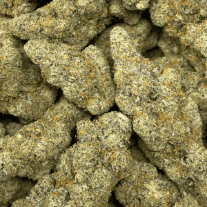 MODIFIED MINTZ (EXOTIC SALE) - Image 2