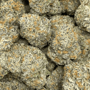 ORANGE GATORADE LSO (EXOTIC) - Image 2