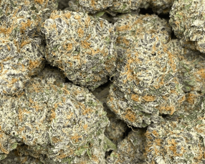 ORANGE GATORADE LSO (EXOTIC) - Image 2