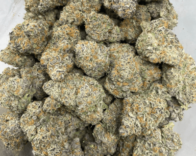 ORANGE GATORADE LSO (EXOTIC) - Image 3