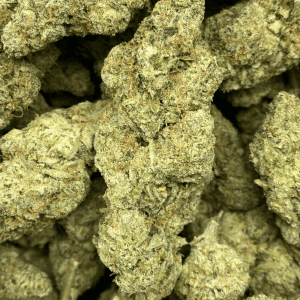 ROMULAN DIESEL LSO (EXOTIC) - Image 1