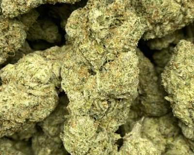 ROMULAN DIESEL LSO (EXOTIC) - Image 1