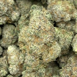 PINEAPPLE EXPRESS (EXOTIC) - Image 1