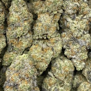 GAS CREAM CAKE LSO (EXOTIC) - Image 2