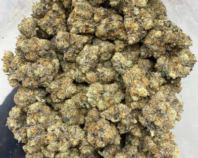 SOPHIE'S GARLIC LSO (EXOTIC) - Image 3