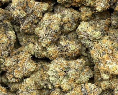 SOPHIE'S GARLIC LSO (EXOTIC) - Image 2