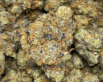 SOPHIE'S GARLIC LSO (EXOTIC) - Image 1