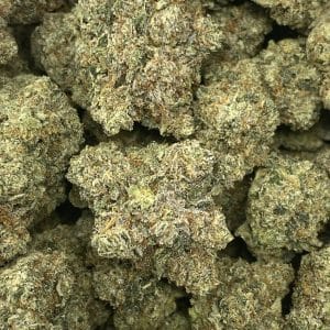 PINK GOOP (MEGA GAS DEAL) - Image 2