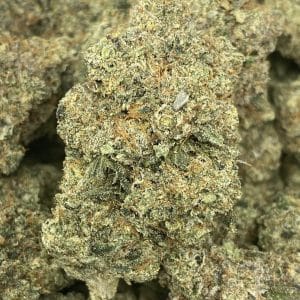 PINK GOOP (MEGA GAS DEAL) - Image 1