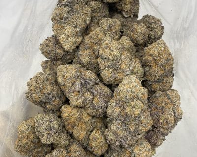 PEANUT BUTTER ROCKSTAR (EXOTIC) - Image 3
