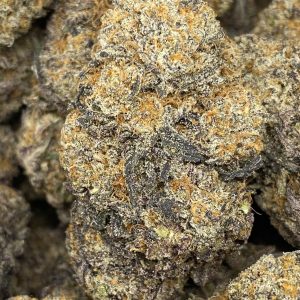 PEANUT BUTTER ROCKSTAR (EXOTIC) - Image 1