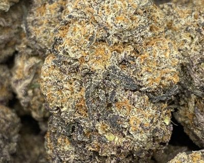 PEANUT BUTTER ROCKSTAR (EXOTIC) - Image 1