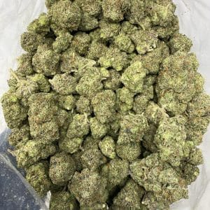 12 WEEK ROCKSTAR (GAS DEAL) - Image 3