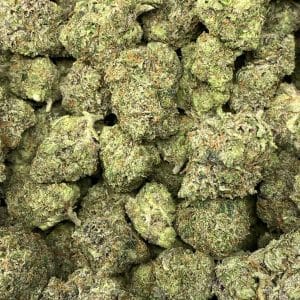 12 WEEK ROCKSTAR (GAS DEAL) - Image 2