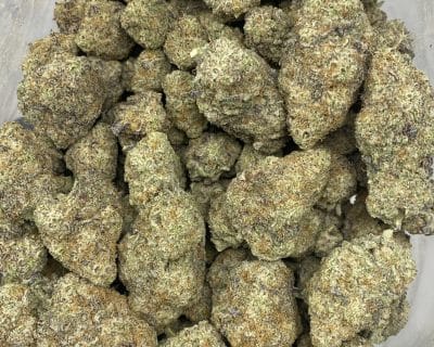 SMOREZ (EXOTIC) - Image 2