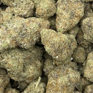 BLUEBERRY PANCAKES (EXOTIC) - Image 1