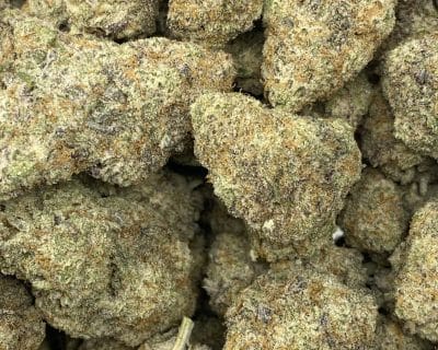 SMOREZ (EXOTIC) - Image 1