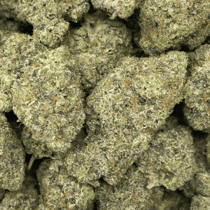 BLUE FIN TUNA (MEGA GAS) - Image 2