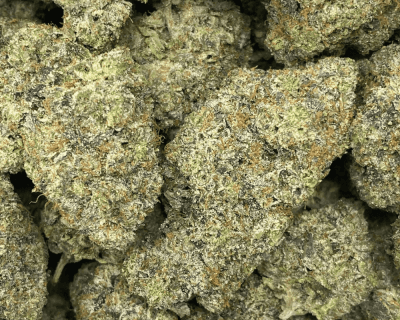 BLUE FIN TUNA (MEGA GAS) - Image 2