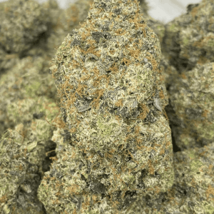 BLUE FIN TUNA (MEGA GAS) - Image 1