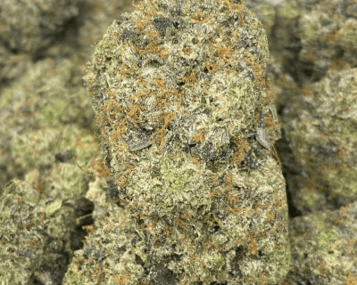 BLUE FIN TUNA (MEGA GAS) - Image 1