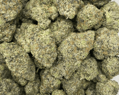 BLUE FIN TUNA (MEGA GAS) - Image 3