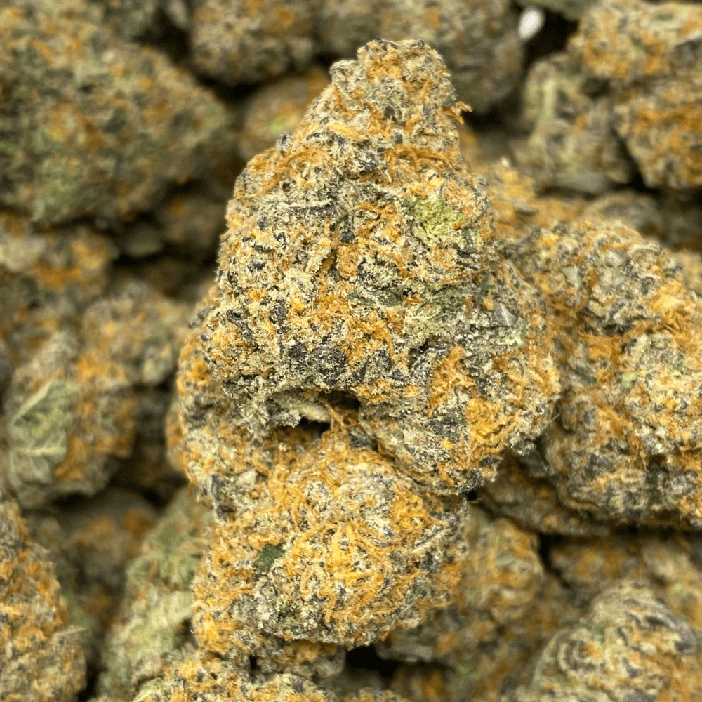 BUTTER FUEL