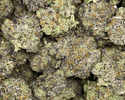 BOWZER PINK (MEGA GAS) - Image 2