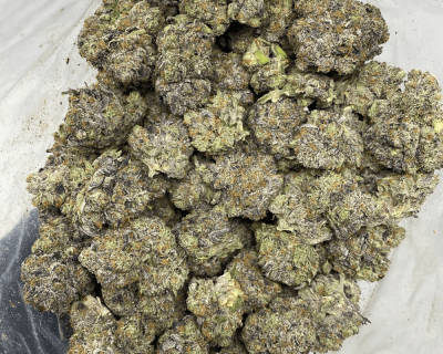 BOWZER PINK (MEGA GAS) - Image 3