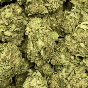 CRITICAL SOUR ($549.99 LB) - Image 2