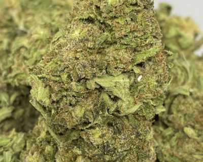 Critical Sour