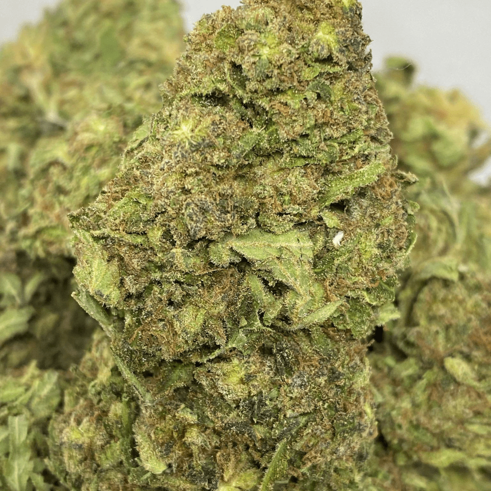 Critical Sour