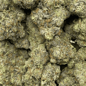 DEATH MACHINE (MEGA GAS) - Image 2