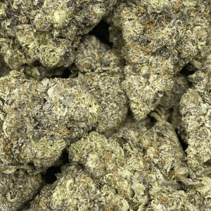 GRISELDA BLANCO (MEGA GAS) - Image 2