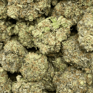 LINDSAY OG (GAS) - Image 2