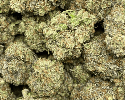 LINDSAY OG (GAS) - Image 2