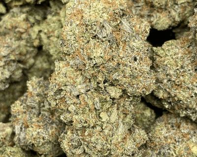 Lindsay OG