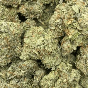 MASTER BUBBA (GAS) - Image 2