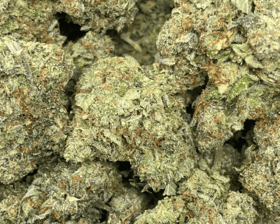 MASTER BUBBA (GAS) - Image 2