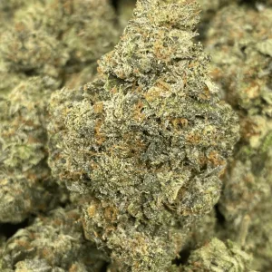 MASTER BUBBA (GAS) - Image 1